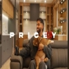 Pricey - Jerry