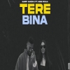 Tere Bina - Garry Sandhu ft Miss Pooja