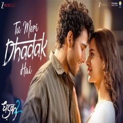 Tu Meri Dhadak Hai (Dhadak 2) - Vishal Mishra Mp3 Song