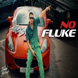 No Fluke - Dhanda Nyoliwala Mp3 Song