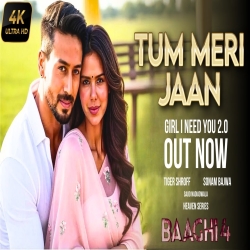 Tum Meri Jaan - Baaghi 4 Mp3 Song