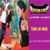 Tum Jo Mile - Alka Yagnik, Kumar Sanu