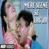 Mere Seene Se Lag Ja - Alka Yagnik