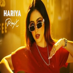 Hariya (Techno Mix) - Zubeen Garg Mp3 Song