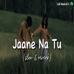 Jaane Naa Tu Ke Tera Kitna Khyal Main Karun (Slow x Reverb) - Bhumi Mp3 Song