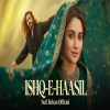Ishq-e-Haasil - A Sufi Love Qawwali