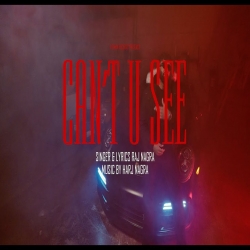 Can Not u See - Raj Nagra Mp3 Song
