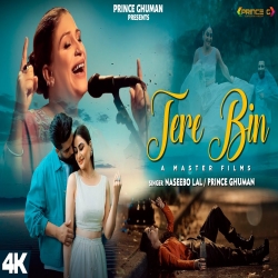 TERE BIN - NASEEBO LAL Mp3 Song