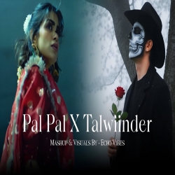Pal Pal x Talwiinder - Afusic x Hassen Mp3 Song