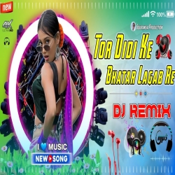 Tor Didi Ke Bhatar Lagab Re (Dj Remix) Mp3 Song