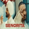 Senorita - Diljit Dosanjh Ft J Balvin