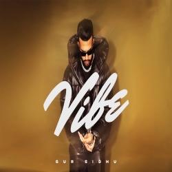 Vibe - Gur Sidhu Mp3 Song