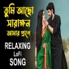 Tumi Acho Sarakhon Amar Prane - Lo-Fi Mix