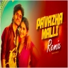 Pavazha Malli (Remix) - Subha Ka Muzik