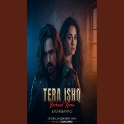 Tera ishq Barbaad Kare - Sagar Bairagi Mp3 Song