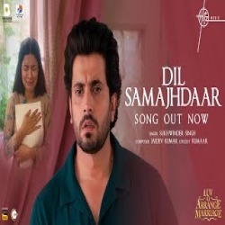 Dil Samajhdaar - Sukhwinder Singh Mp3 Song