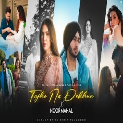 Tujhe Na Dekhun X Noor Mahal X Nain Tere (Mega Mashup) Mp3 Song