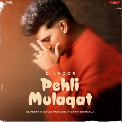 Pehli Mulaqat - Dilnoor Mp3 Song