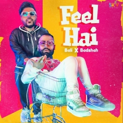 Feel Hai - Bali, Badshah Mp3 Song