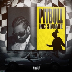 Pitbull - MC Square Mp3 Song