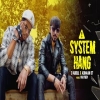 System Hang - D Abdul, Adnaan 07