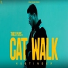 Cat Walk - Hustinder