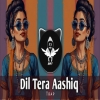 Dil Tera Aashiq (New Remix)