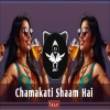 Chamakati Shaam Hai (Remix)