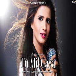 Tu Mil Gaya (New Version) Tripty Sinha Mp3 Song