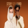 Story of a Bird - Alan Walker, KING