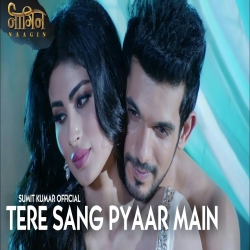 Tere Sang Pyar Main Nahin Todna (Naagin) Mp3 Song