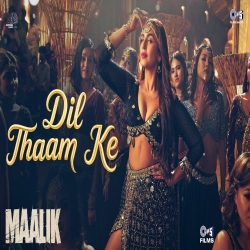 Dil Thaam Ke - Rashmeet Kaur, Rana Majumdar Mp3 Song