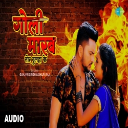 Goli Marab Tor Dulha Ke - Gunjan Singh, Shilpi Raj Mp3 Song