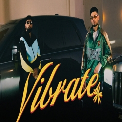 Vibrate - KRSNA, Ft. Badshah Mp3 Song