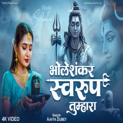 Bhole Shankar Swarup Tumhara - Aavya Dubey Mp3 Song