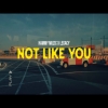 Not Like You - Hammy Muzic