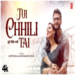 Tui Chhili Tai - Anweshaa, Mohammed Irfan Mp3 Song