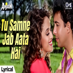 Tu Samne Jab Aata Hai - Alka Yagnik, Udit Narayan Mp3 Song