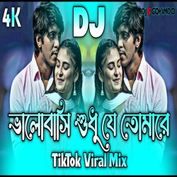 Valobashi Shudo Je Tomare Dj (RemiX) - DJ S Govindo Mp3 Song